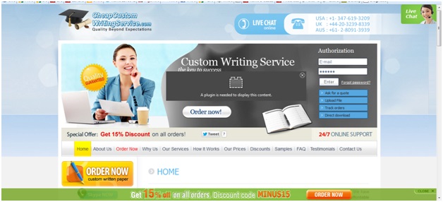 Online Custom Essay Writing Service